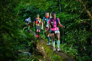 BIB: 
                            <button type="button" onclick="openModal(18923097)" class="btn btn-primary btn-sm float-right btn-popup" data-toggle="modal" data-target=".modal-high-quality">
                        <i class="fas fa-shopping-cart"></i> Add to Cart
                    </button>
                                            <button type="button" onclick="isThisMe(18923097, true)" class="btn btn-success btn-sm float-right btn-popup btn-isme hidden" data-toggle="tooltip" data-placement="bottom" title="นี่คือรูปของคุณใช่ไหม คลิกที่นี่เพื่อเอาเข้าอัลบั้ม">
                        <i class="fas fa-plus"></i> Add to album
                    </button>
                    <button type="button" onclick="isThisMe(18923097, false)" class="btn btn-warning btn-sm float-right btn-popup btn-isnotme hidden">
                        <i class="fas fa-ban"></i> Remove from album
                    </button>